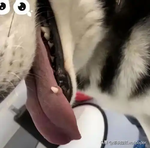  笑一笑,52张搞笑动图这样子的电梯,还真是看不懂了