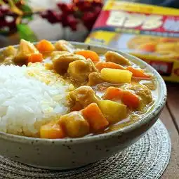  土豆鸡腿日式咖喱饭