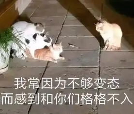  男生宿舍关系究竟有多可怕简直惨不忍睹
