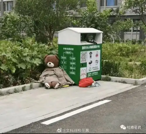 酷小熊头像被遗弃的