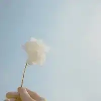 微信头像简约大方干净淡