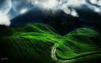  清新自然风景高清桌面壁纸