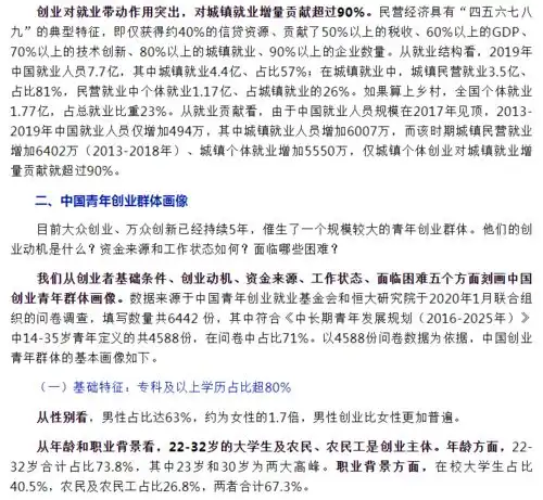  中国青年创业发展报告2020