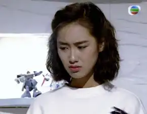  90年代香港女明星,在没有ps的年代,每一个都是大美人,都认得吗12