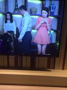  李沁演的璀璨人生里面这件衣服谁知道是什么品牌的