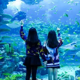  2019海底世界馆门票,上海海底世界馆游玩攻略,海底世界馆游览攻略路线地址门票价格