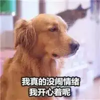  熊梓淇大方曝初恋江一燕郝云竟然是师生,年度宝藏综艺就是你了