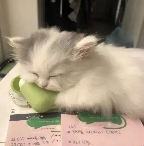  气泡水的相册可爱沙雕头像1