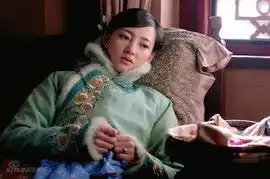  王丽坤2008年当铺饰演瑞芸香