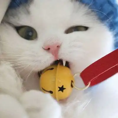  萌图