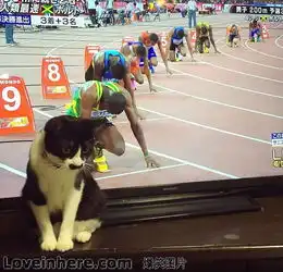  他十分看好他家的10道选手