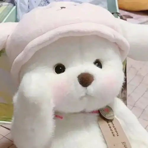  动物头像第16期可爱小熊女孩子头像,按耐不住的少女心要爆发了