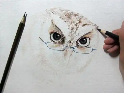  小央美美术彩铅画猫头鹰手绘教程超详细