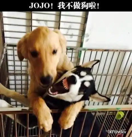  爆笑段子你和他,比上不足比下有余