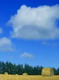 蓝天白云田野头像