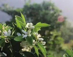  春日游湖南春天旅行地图