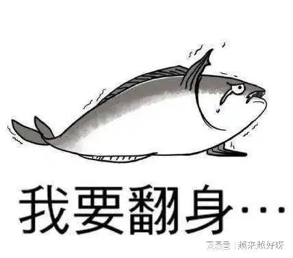  舒创宝分享年轻人迷茫焦虑怎么办