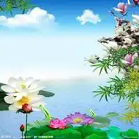  黑白头像风景女生背影微信头像图片大全