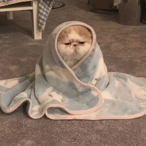  奇怪怪搞怪头像谁要