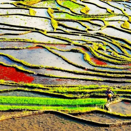  篁岭门票贵上天这个冷门古村晒秋节超热闹,还能邂逅福建最美梯田