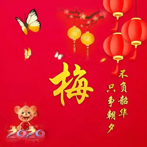  2020只争朝夕不负韶华微信头像图片