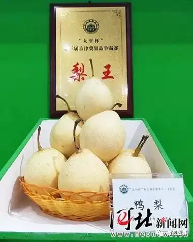  终极王者邯郸魏县鸭梨斩获中国廊坊农交会果品争霸赛梨王