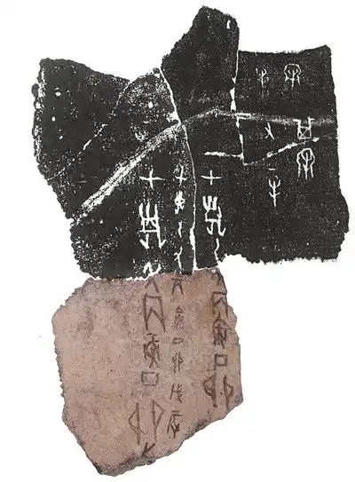  冷门绝学焕发新活力当甲骨文遇见当代知音